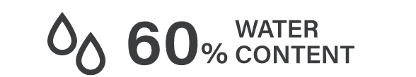 60% WATER CONTENT